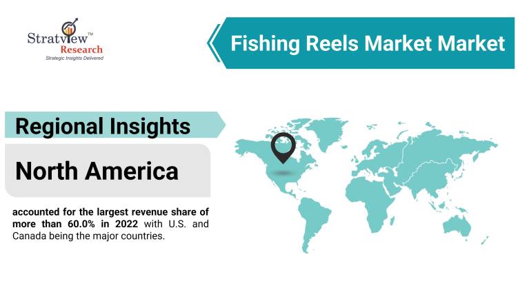 Regional Insight